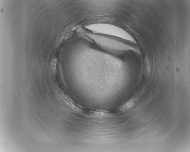 X0000054400475200508262236
