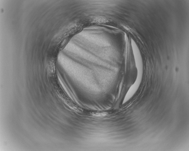 X0000054400517200508262234