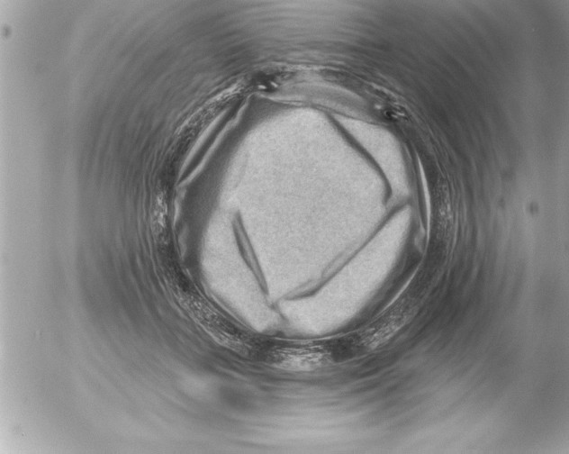 X0000054400555200508262234