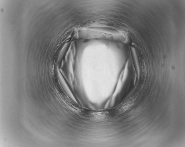 X0000054400558200508262234
