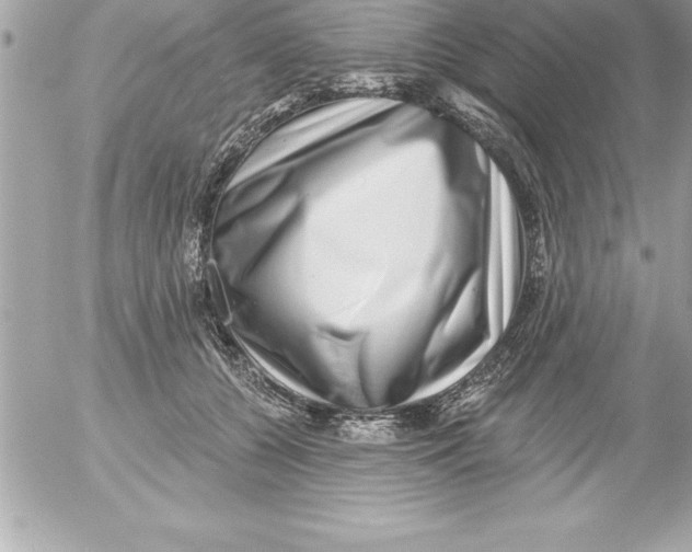 X0000054400560200508262234