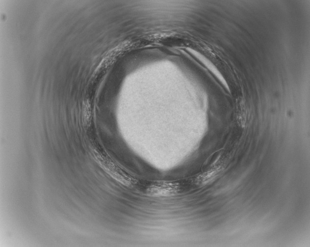 X0000054400563200508262234