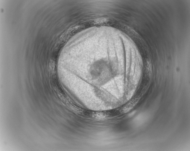 X0000054400565200508262234