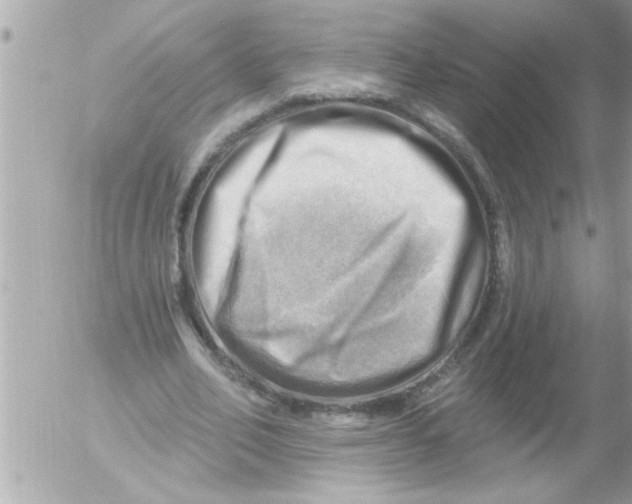 X0000054400582200508262233