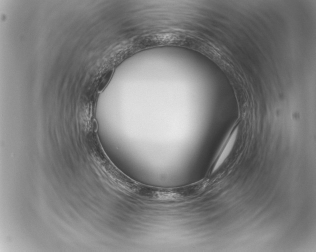X0000054400605200508262233