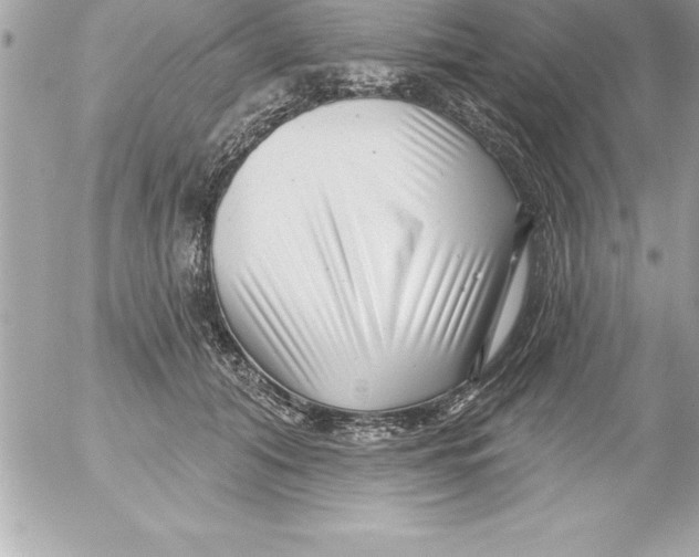 X0000054400608200508262233
