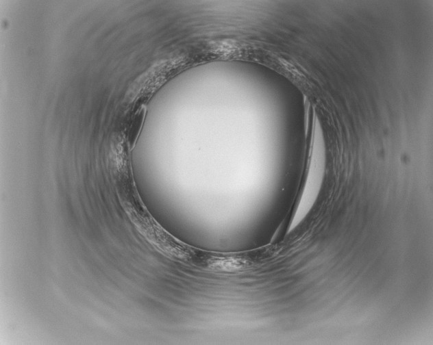 X0000054400611200508262233