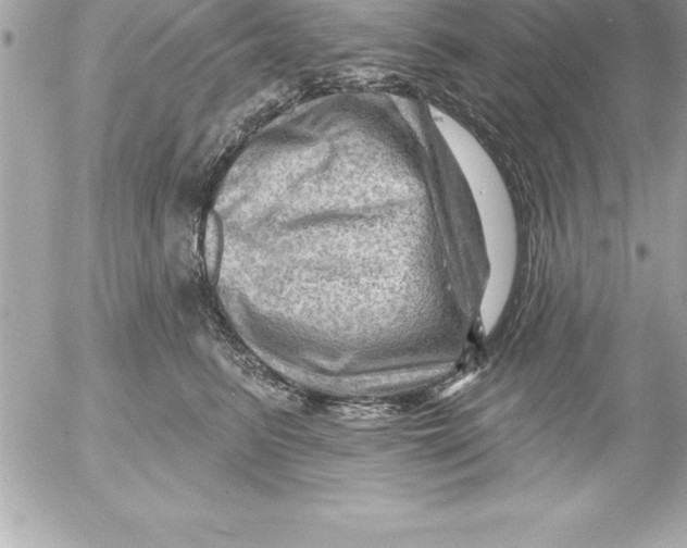 X0000054400615200508262233