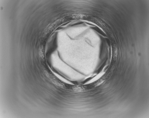 X0000054400616200508262233
