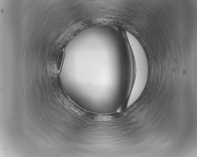 X0000054400617200508262233