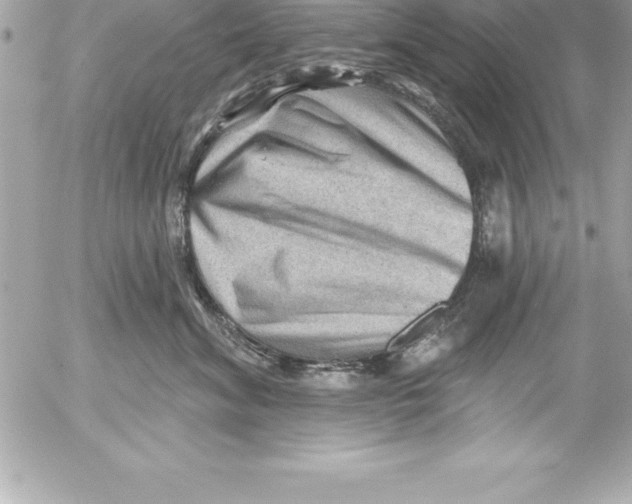 X0000054400620200508262233