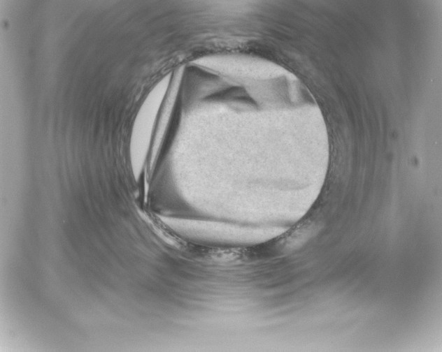X0000054400624200508262232