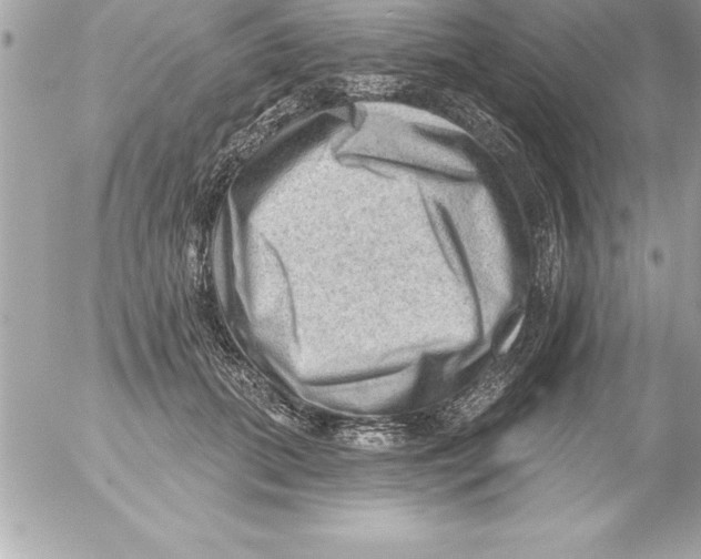 X0000054400655200508262232