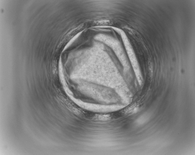 X0000054400665200508262232