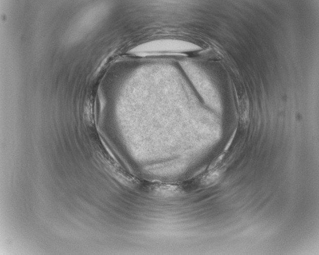 X0000054400669200508262232