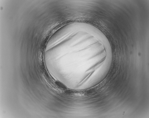 X0000054400692200508262231
