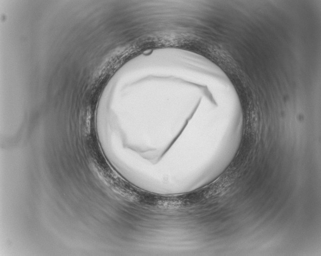 X0000054400694200508262231