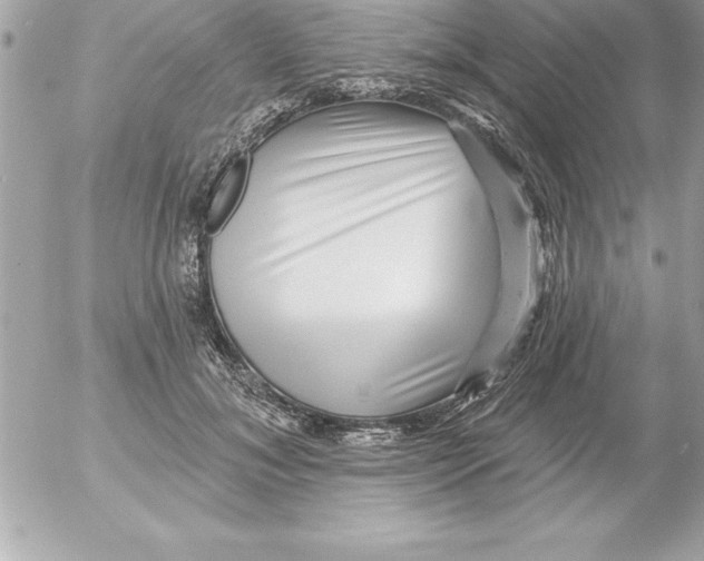 X0000054400700200508262231