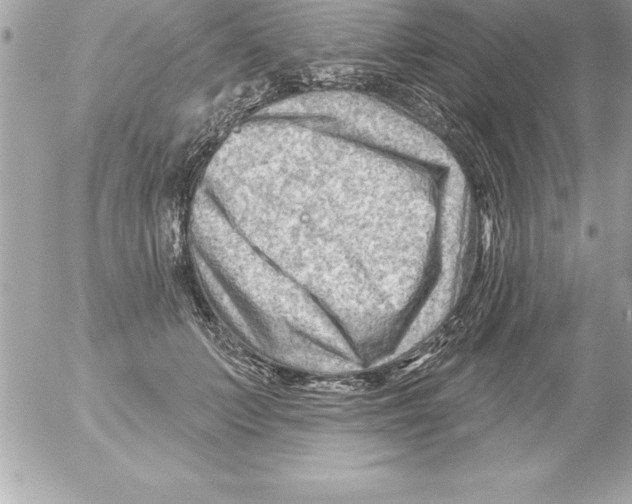 X0000054400703200508262231