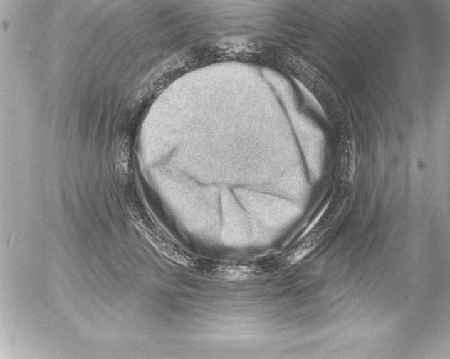 X0000054400710200508262231