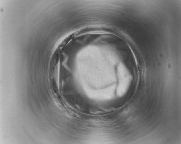 X0000054400724200508262230