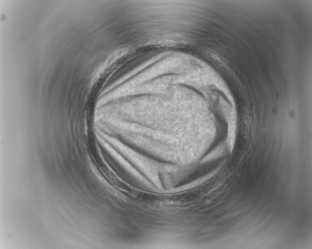 X0000054400734200508262230