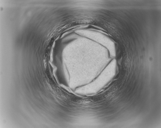 X0000054400743200508262230
