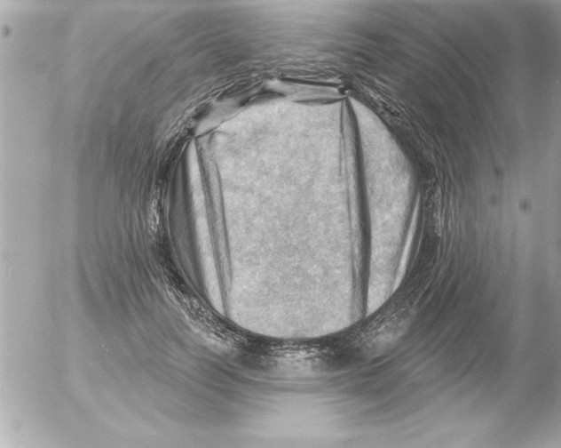 X0000054400746200508262231