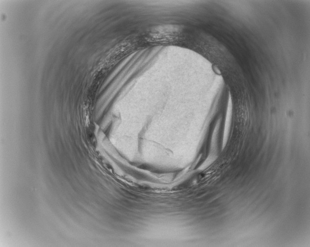 X0000054400751200508262231