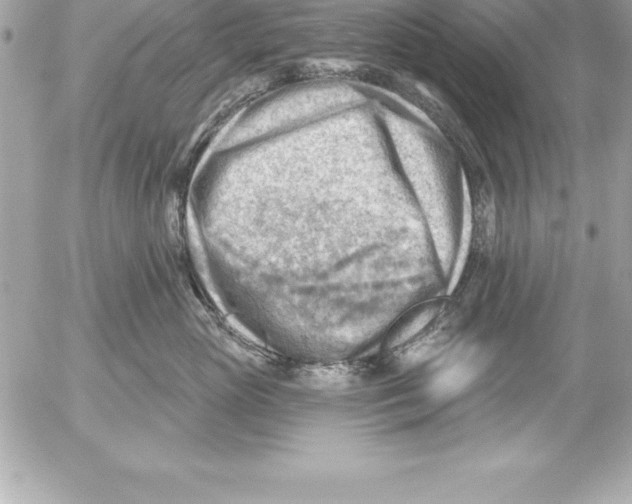 X0000054400765200508262231