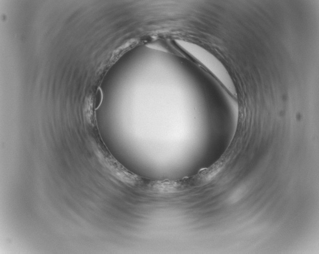 X0000054400767200508262231