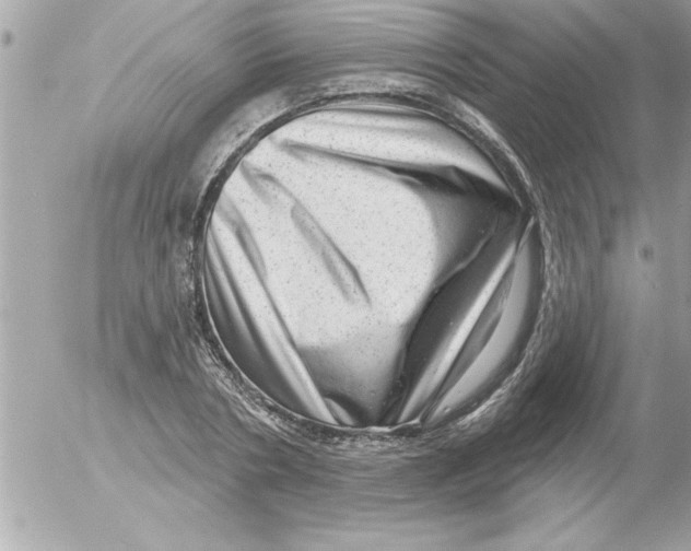 X0000054400786200508262230