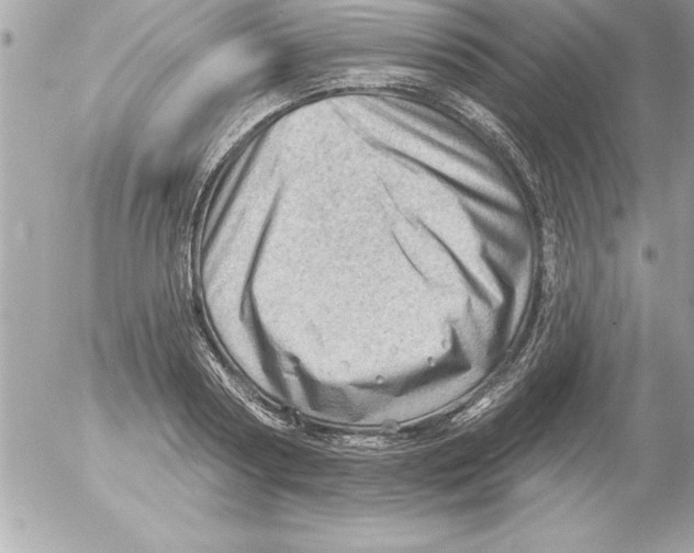 X0000054400794200508262230