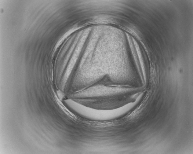 X0000054400795200508262230