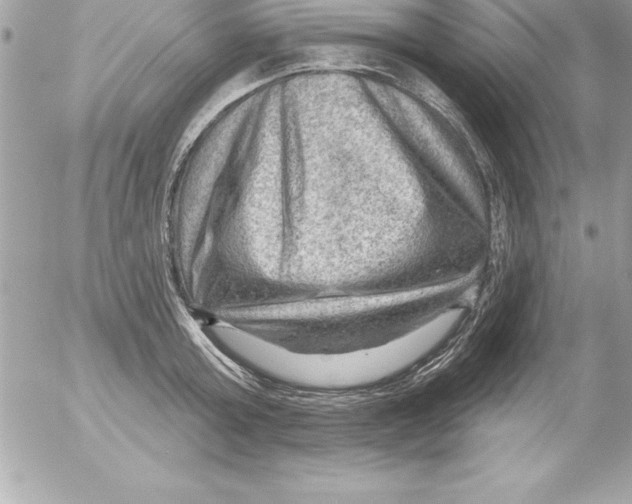 X0000054400803200508262230