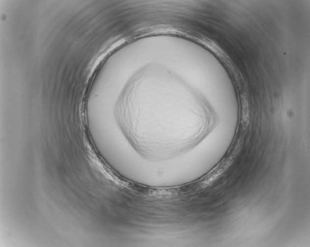 X0000054400806200508262229