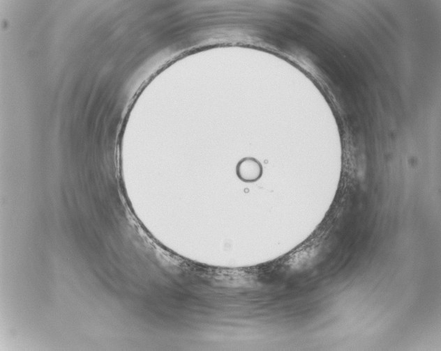 X0000054400807200508262229