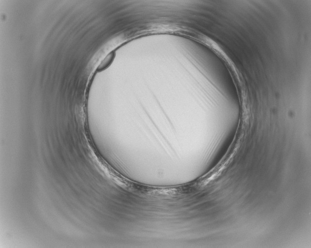 X0000054400810200508262229