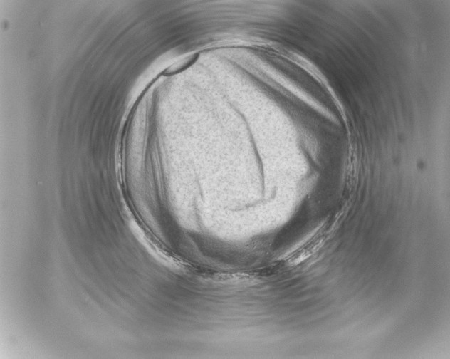 X0000054400811200508262229