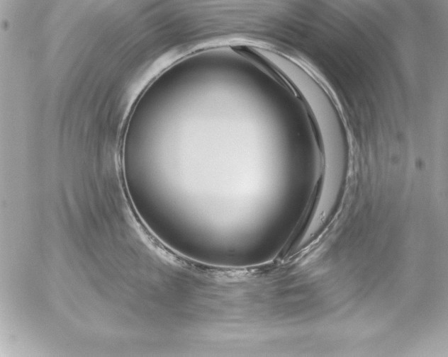 X0000054400813200508262229