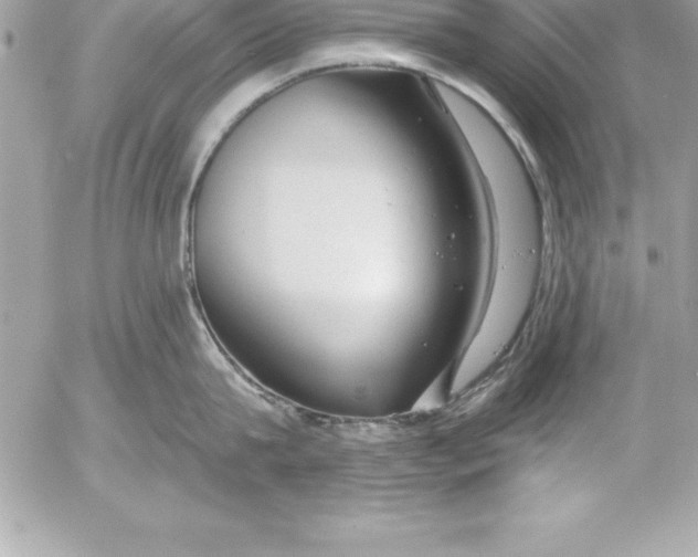 X0000054400815200508262229