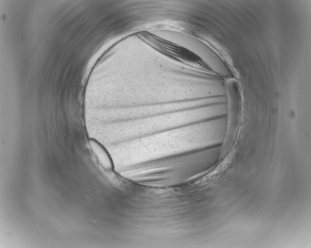 X0000054400816200508262229