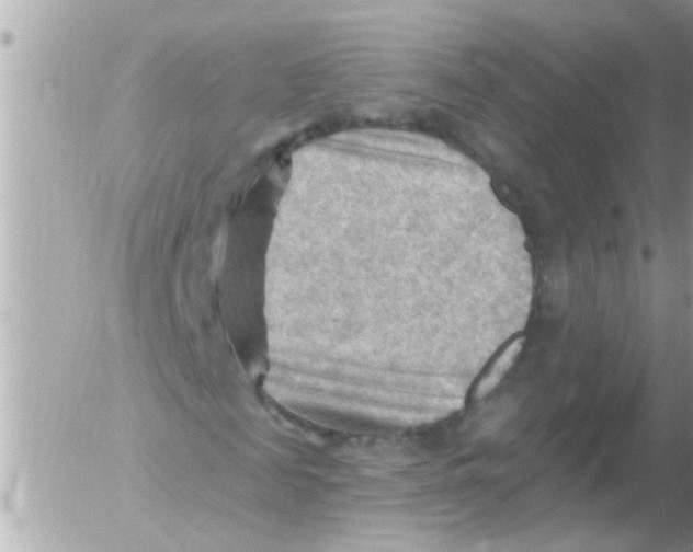 X0000054400817200508262229