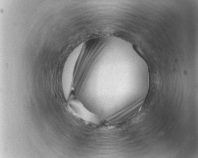 X0000054400818200508262229