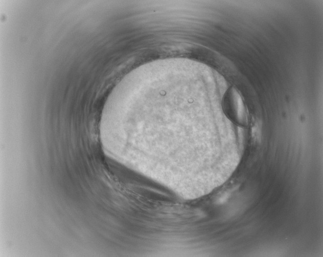 X0000054400819200508262229