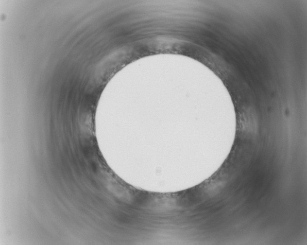 X0000054400820200508262229