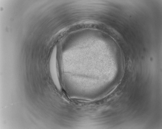 X0000054400821200508262229