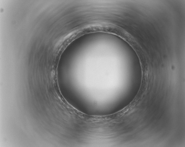 X0000054400822200508262229