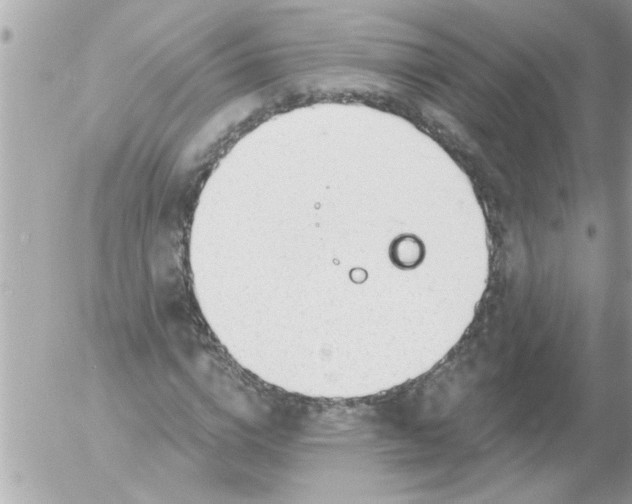 X0000054400824200508262229