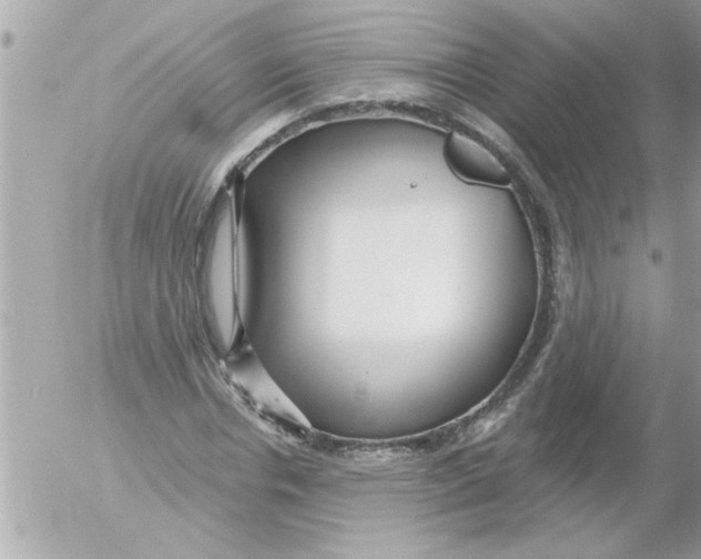 X0000054400826200508262229